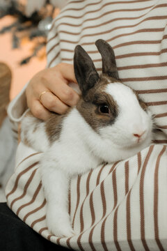 Tender moments with white rebbit