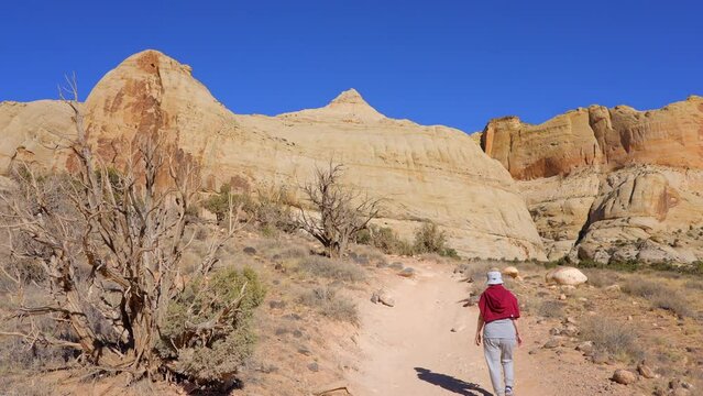 Establishing shot of female tourist at mountains in Hickman Natural Bridge Trail, Capital Reef National Park, Utah, North America. ProRes 422 HQ.