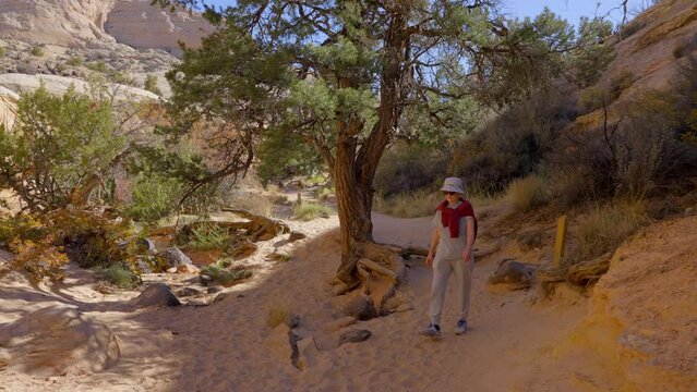 Establishing shot of female tourist at mountains in Hickman Natural Bridge Trail, Capital Reef National Park, Utah, North America. ProRes 422 HQ.