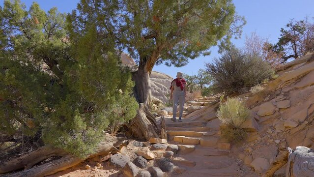 Establishing shot of female tourist at mountains in Hickman Natural Bridge Trail, Capital Reef National Park, Utah, North America. ProRes 422 HQ.