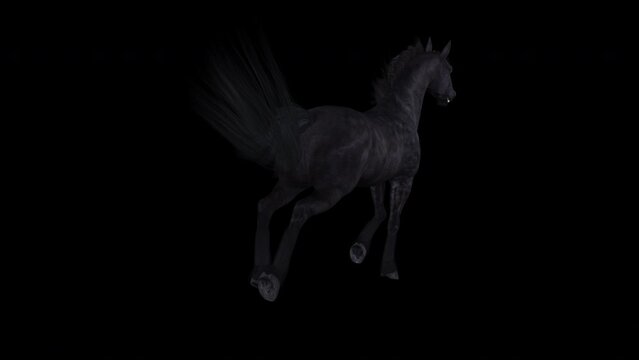 Black Horse - Gallop Loop - Back Angle View CU - Realistic 3D animation with alpha channel isolated on transparent background