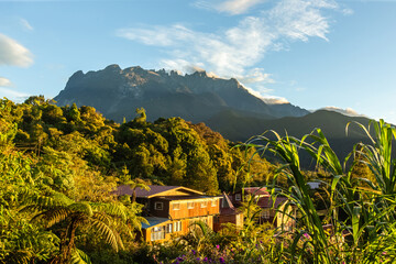 Panorama at morning with mount Kinabalu at far background.