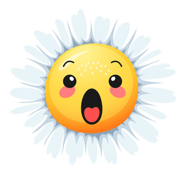 Cartoon chamomile or daisy flower character with funny face or camomile smile, vector icon. Chamomile emoji emoticon of crying baby or yelling daisy, camomile floral face with tongue and petals