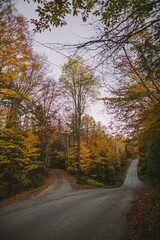 Vermont autumn roads fall leaves on a path