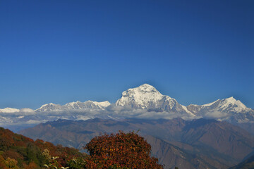 Himalayan mountain range seen from Poon Hill Lookout.