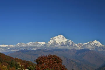 Crédence de cuisine en verre imprimé Dhaulagiri Himalayan mountain range seen from Poon Hill Lookout.