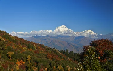 Papier peint photo autocollant rond Dhaulagiri Himalayan mountain range seen from Poon Hill Lookout.