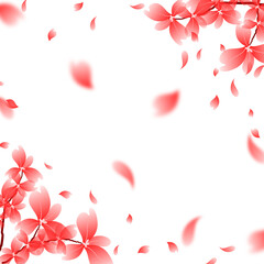 Blooming Sakura Frame, Flowers Border Clipart. Beautiful Spring Floral Background IIlustartion.
