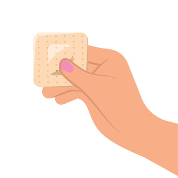 contraceptive birth control patch