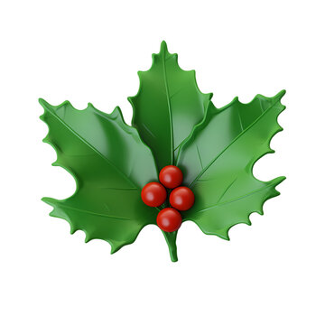 Christmas leaves isolated on transparent background