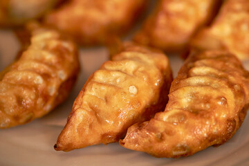 fried dumplings on a plate
