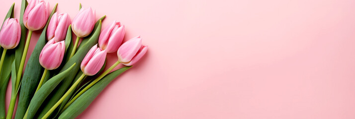 Bouquet of Beautiful Pink Tulips on a Light Pink Background with Empty Space to Insert Text For Your Design.
