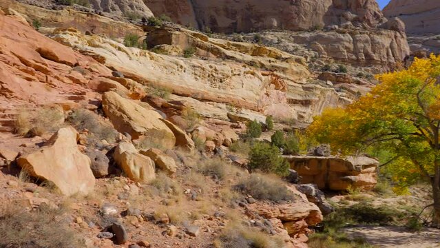 Establishing shot of mountain trail with red rocks in Hickman Natural Bridge Trail, Capital Reef National Park, Utah, North America. ProRes 422 HQ.