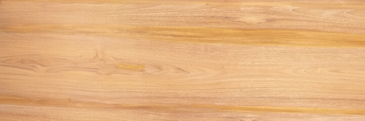 Wood texture. Wood texture for design and decoration