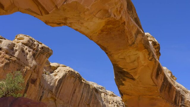 Establishing shot of mountain trail with red rocks in Hickman Natural Bridge Trail, Capital Reef National Park, Utah, North America. ProRes 422 HQ.