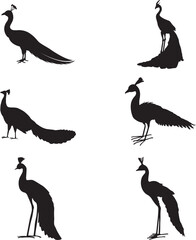 Peafowl silhouettes. black peacock logo elements, peacock designs cuttings laser vector animals