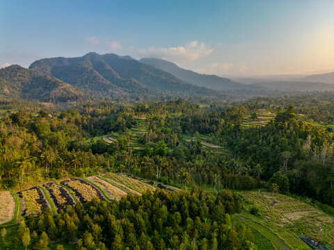 A green mountain range in the north of Bali