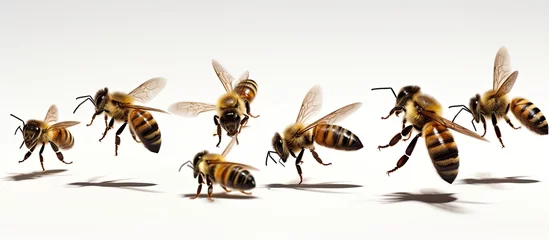 Foto auf Acrylglas The term "bees" written using deceased bees. © AkuAku