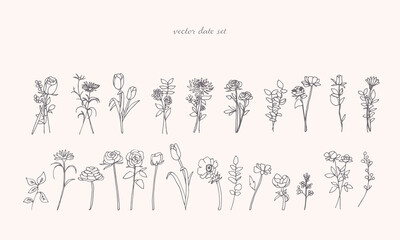 手書きの草木イラストベクター素材セット。植物の線画セット。葉っぱと花のナチュラル背景。Hand drawn plants and trees illustration vector material set. Line drawing set of plants. Natural background of leaves and flowers.