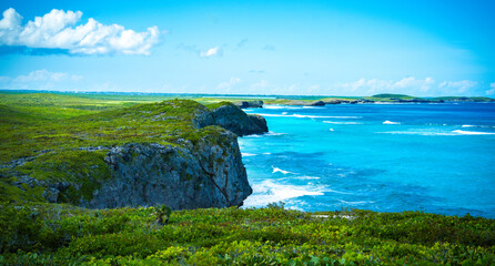Coastal View from the Cliffs