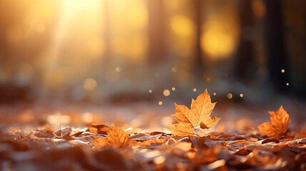 Beautiful autumn background with leaves in the ground and sun rays. Autumn leaves on the ground in...