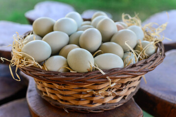 eggs in a basket, basket of eggs, blurred background, rustic basket, farm, free range eggs, easter, egg baskets,fresh eggs, free range eggs, free market