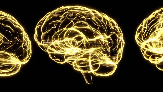 Many gold hologram human brain on black background.
Bright SciFi style.Seamless animation. 
