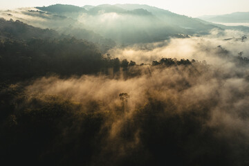 Foggy sunrise in the mountains in summer