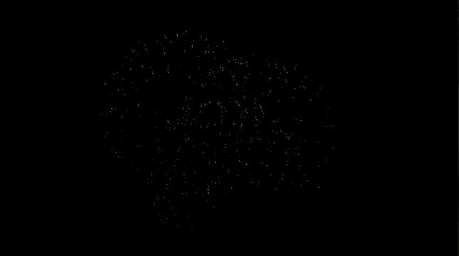 new year fireworks, with black backgroud for video assets
