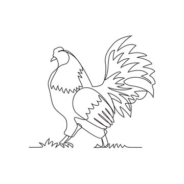 One continuous line drawing of Chicken are looking for food around the house yard vector illustration. Animal activity design illustration simple linear style vector concept. Animal design 