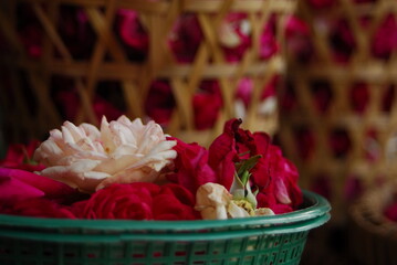Beautiful field meadow flowers chamomile, blue wild peas in morning against blue sky with clouds, nature landscape, close-up macro. Wide format, copy space. Delightful pastoral airy artistic image.