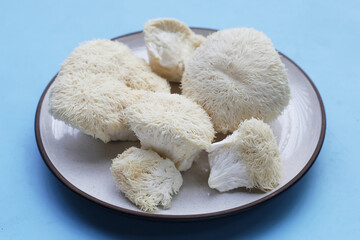 Fresh lion's mane mushroom. (Yamabushitake Mushroom)