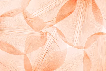 Natural macro leaves as minimal style abstract nature pattern, veins of leaf, foliage close up, peach fuzz trend color 2024 year monochrome background. Aesthetic nature macro trends