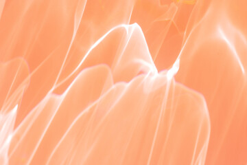 Wavy lines of light as Abstract blurred background peach colored, natural glare from lights, trend...