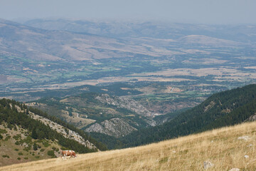 Vers col de moixero - espagne