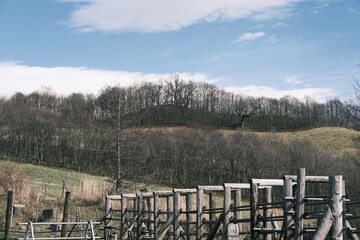 牛用ゲートと放牧地