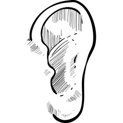 human ear handdrawn illustration