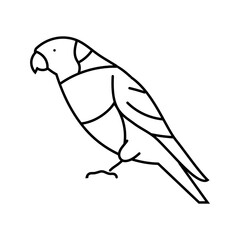 rainbow lorikeet parrot bird line icon vector. rainbow lorikeet parrot bird sign. isolated contour symbol black illustration