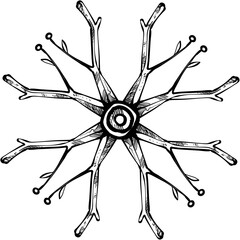 snowflake handdrawn illustration