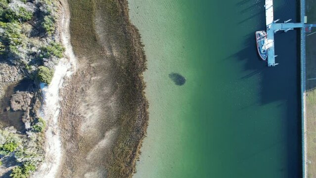 Aerial drone shot of bait ball formed in clear ocean waters, drone shot of school of fish