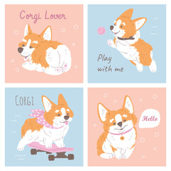 Set of squared banners with corgi dogs flat style, vector illustration