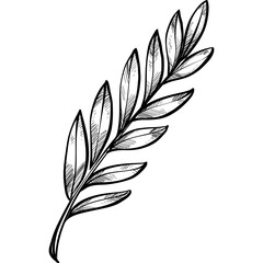 tropical leaves handdrawn illustration