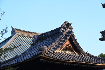 Fototapeta na wymiar 大きな瓦屋根のお寺