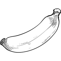 banana handdrawn illustration