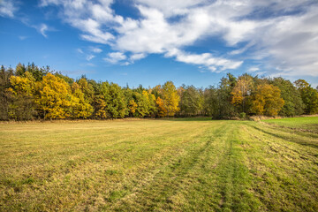 Amazing autumn landscape with green meadow and colorful forest under blue sky