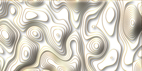Abstract white background with golden gradient Topographic line map and shadows . Contour elevation topographic and textured Background Modern design White background with topographic wavy patte