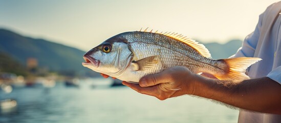 Skilled local fisherman catches and sells fresh gilthead sea bream, promoting a healthy diet and sustainable fishing practices.