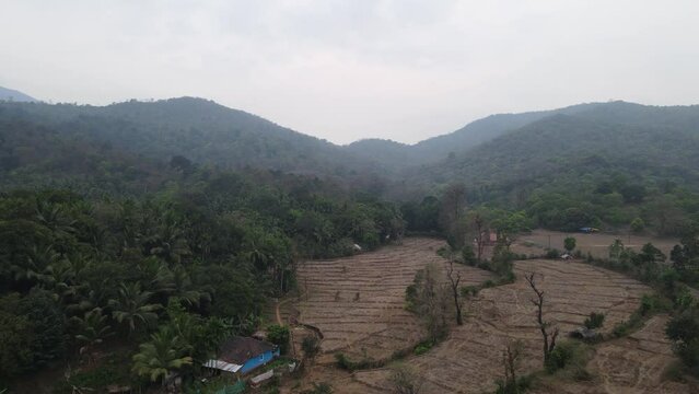 A farm in Goa | Netravali | Neturlim, Goa, India | Farms | Goan life and culture