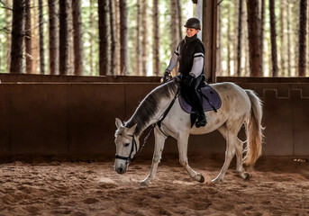 beautiful young girl on her white pony during her riding lesson