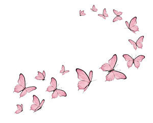 pink background with butterflies